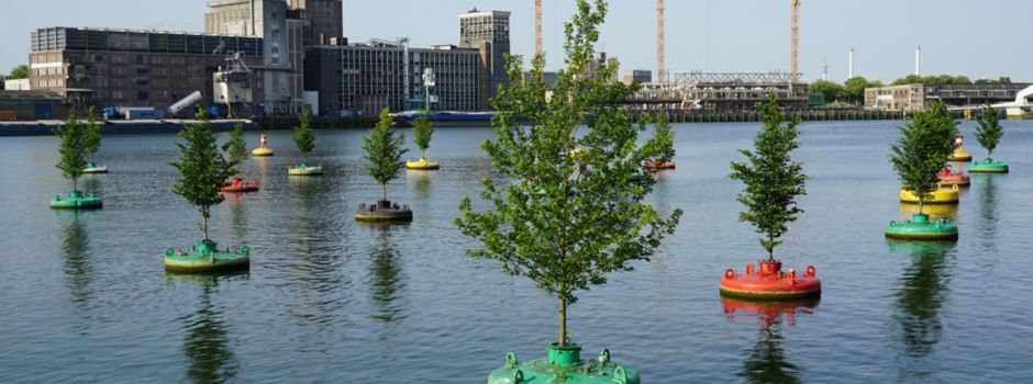 Statt Schwimmbad im Zollhafen: SPD legt eigene Idee vor