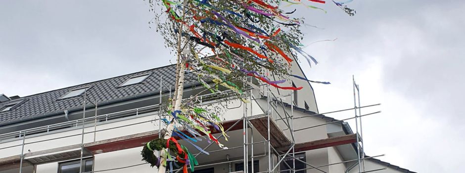 Größer, schöner und standsicherer: Der neue Stadt-Maibaum 2021 auf dem Rathausplatz Niederkassel