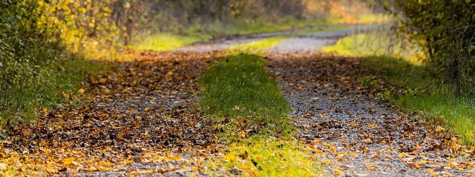 16.10.25: Herbstwanderung der Landfrauen