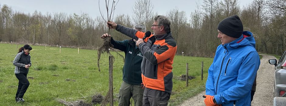 Rückblick auf die Baumpflanzaktion