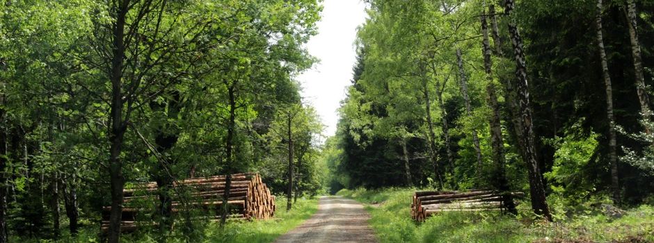 Biberrundweg in Blumenfeld aktuell gesperrt