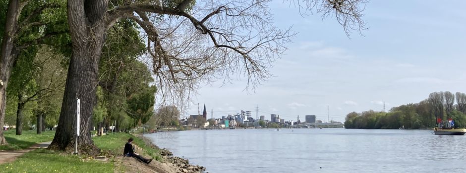 Mann (50) am Rheinufer mit Ast attackiert