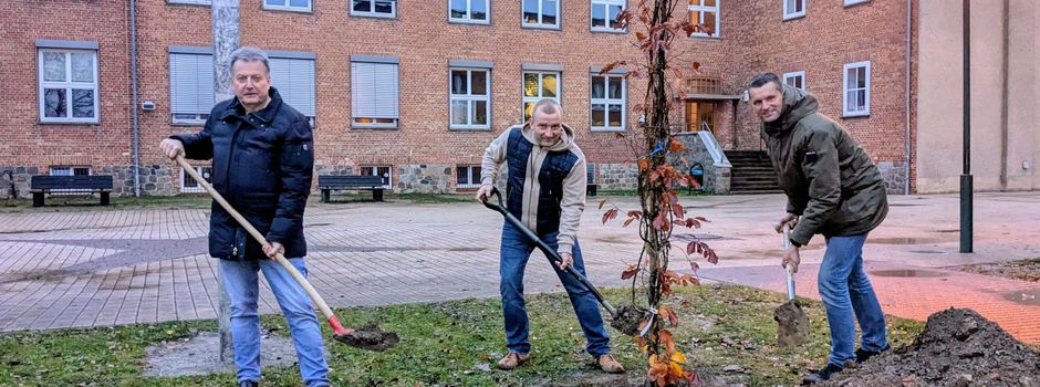 Ein Baumgeschenk, das Geschichten atmet