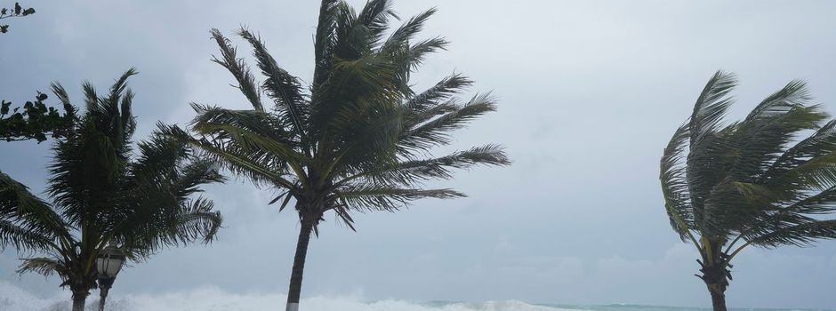 Schwerer Sturm «Beryl» verliert an Kraft - sechs Tote