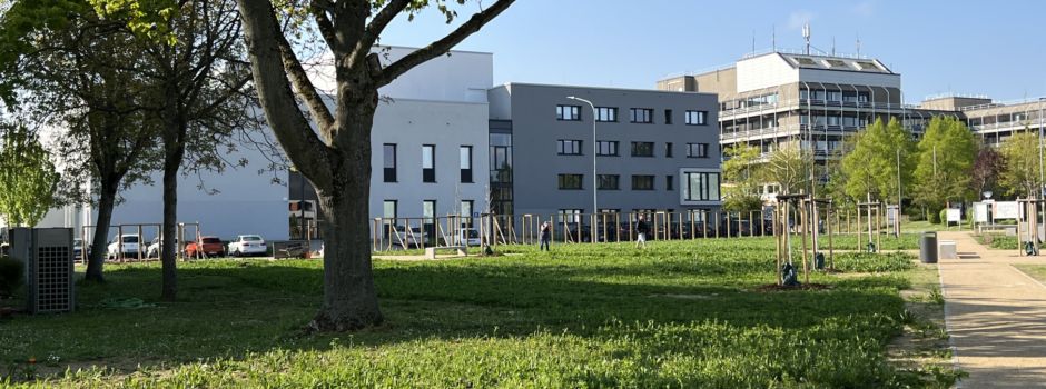 Neue Grünanlage auf dem Universitätsgelände
