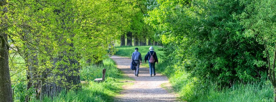 Umfrage - große Aktion des Seniorenbeirats