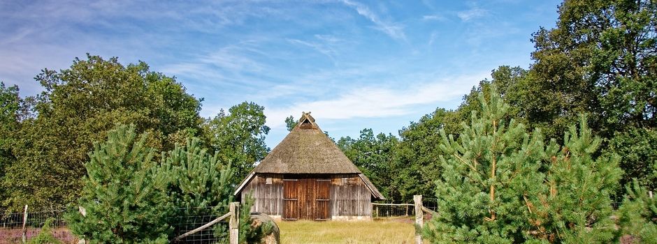 Seniorenausfahrt 2026: Entdeckungstour in die Lüneburger Heide