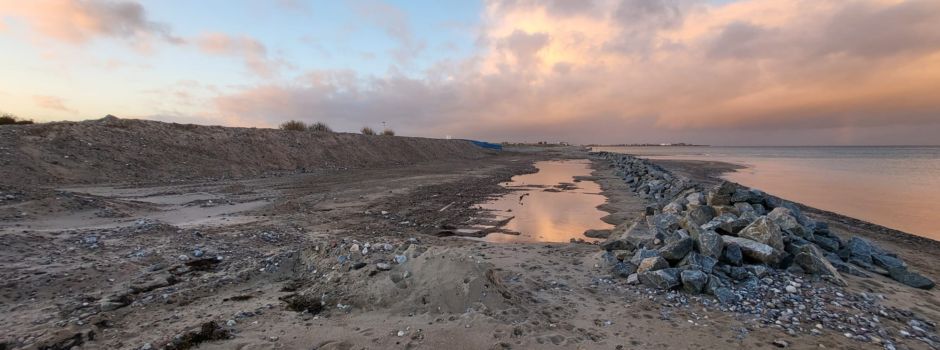 Regionaldeich wird dauerhaft ertüchtigt