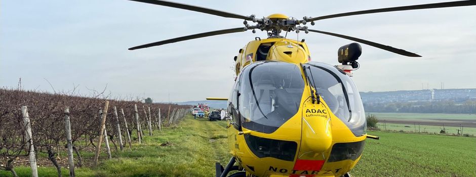 Unter Baumstamm eingeklemmt: Person stirbt in Stadecken-Elsheim