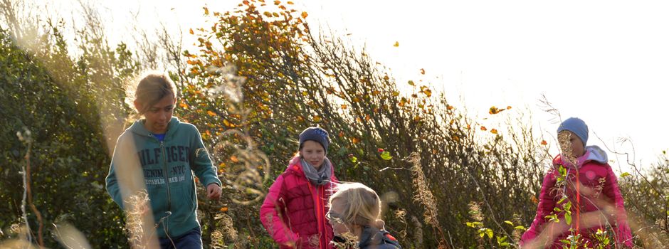 Wildniskurs für Sylter Kinder – Jetzt anmelden! 