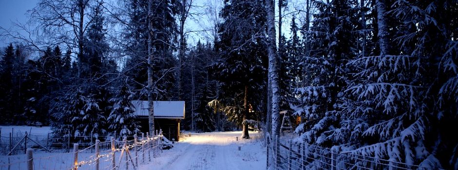 Weihnachtswanderung des Sportvereins