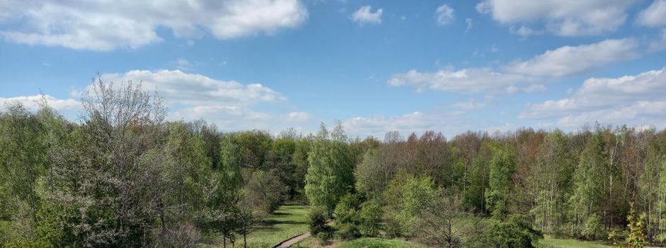 Ausflugsziele rund um Mainz