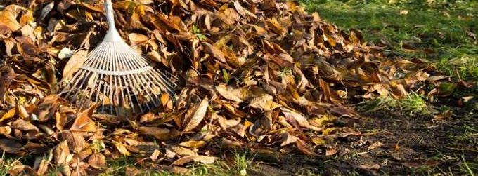 Grünabfallentsorgung