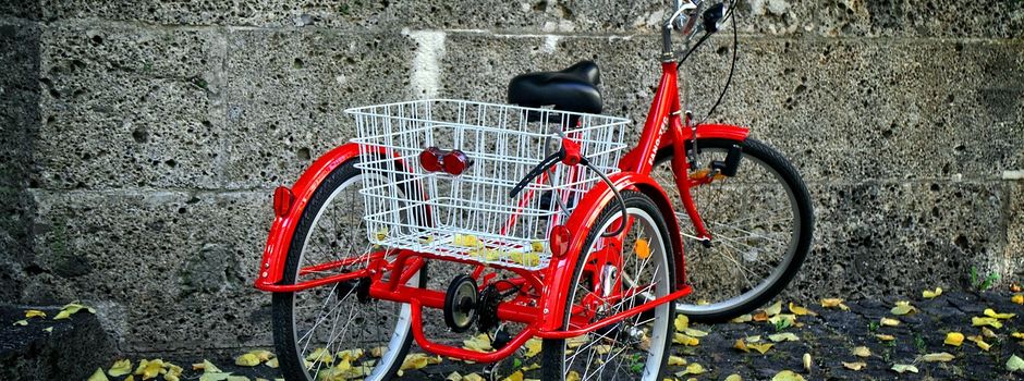 Diebe bestehlen Mainzer Behinderten: Finderlohn ausgesetzt