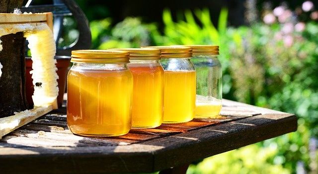 Bio-Honig aus Augsburg: Hier bekommt ihr ihn