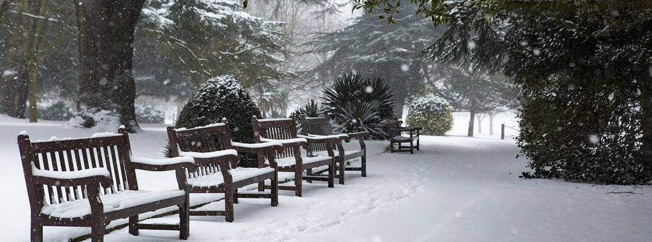 Temperatursturz in Rheinhessen: Kommt jetzt der erste Schnee?