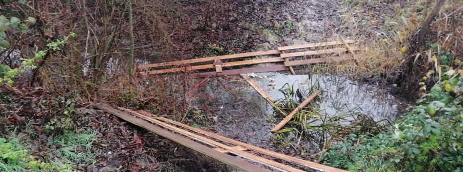 Wiederbeschaffung der Brücke am Bechtheimer Kanal in Guntersblum