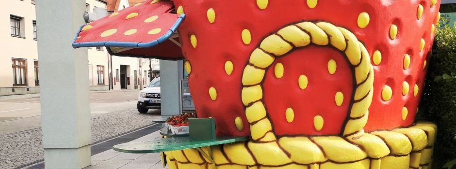 Erdbeersaison verzögert sich: Hier gibt's die roten Früchte schon