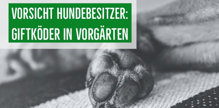 Giftköder in Vorgärten