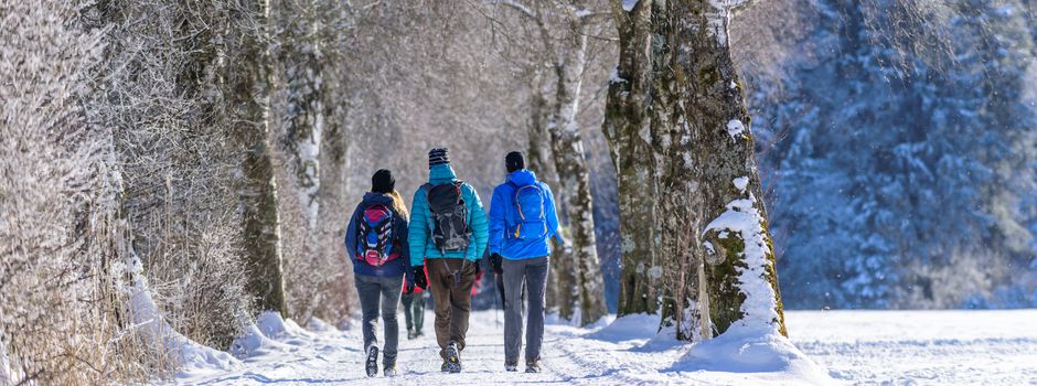 Winterwanderung in Walsrode