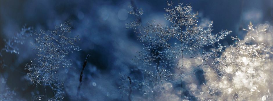 5 Hallo-Tipps: Spaziergänge am Neujahrsmorgen