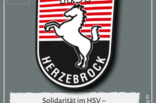 Solidarität im HSV – Beitragsanpassung wegen Coronakrise