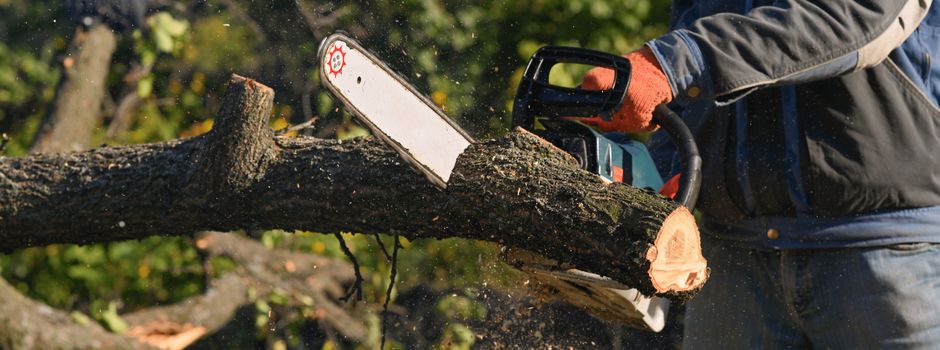 Ruhbank: Friedhof wegen Baumfällarbeiten zeitweise gesperrt