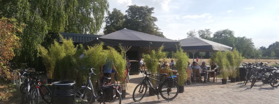 Diese Mainzer Gastronomien liegen direkt am Rhein