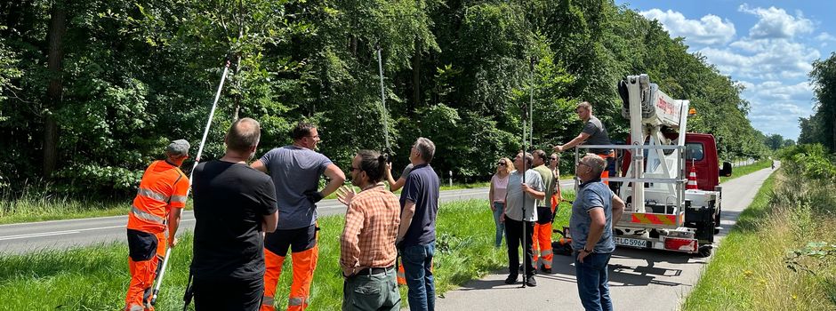 Fachmännische Baumpflegearbeiten