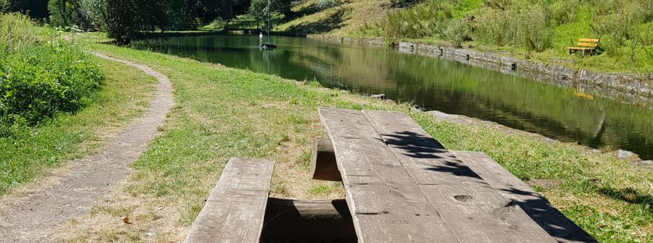 Mitmachaktion im Brunnental