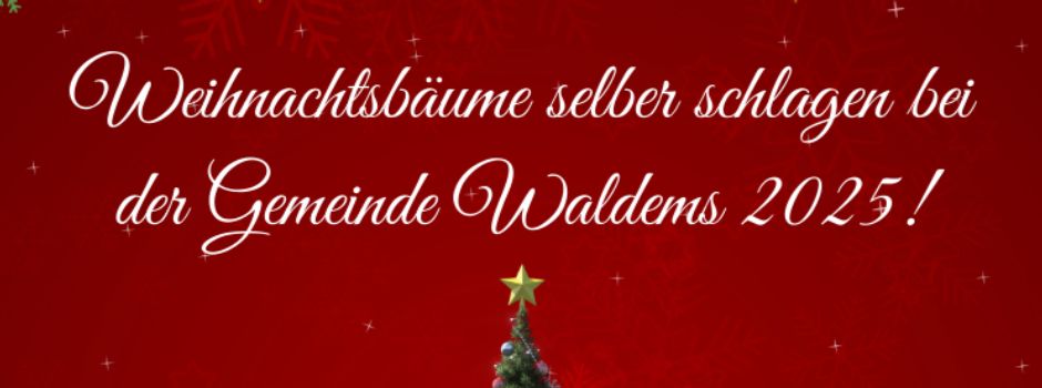 Weihnachtsbaumverkauf in Waldems