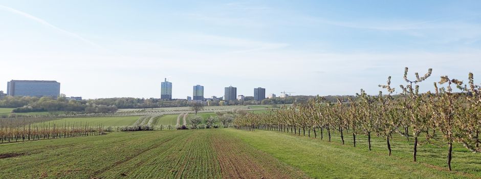 Kein warmes Wasser auf dem Lerchenberg