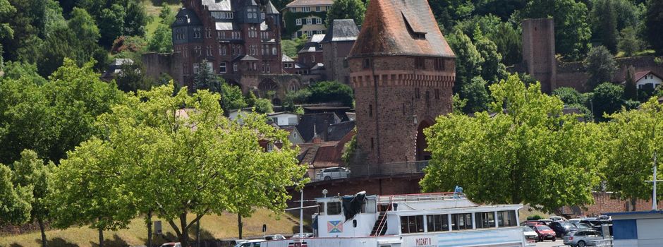 Seniorenfahrt nach Miltenberg