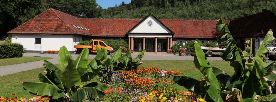 Endlich und lebendig: Vielfältiges Programm zum „Tag des Friedhofs“