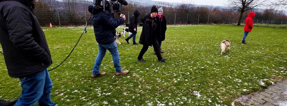 „Am Wehrholz“ im Fokus der Landesschau Rheinland-Pfalz
