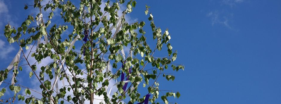Ein Maibaum für Koserow