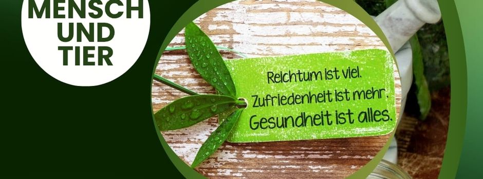 Gesundheit im 21. Jahrhundert