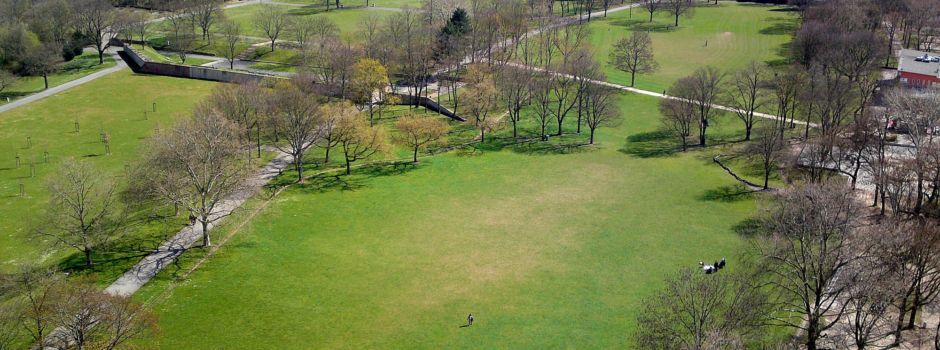 Das ist der beste Park in Mainz