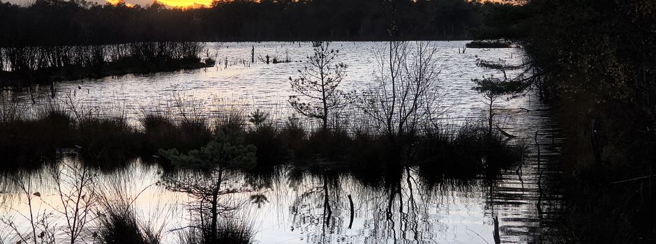 Herbststimmung - Kraniche am Abend