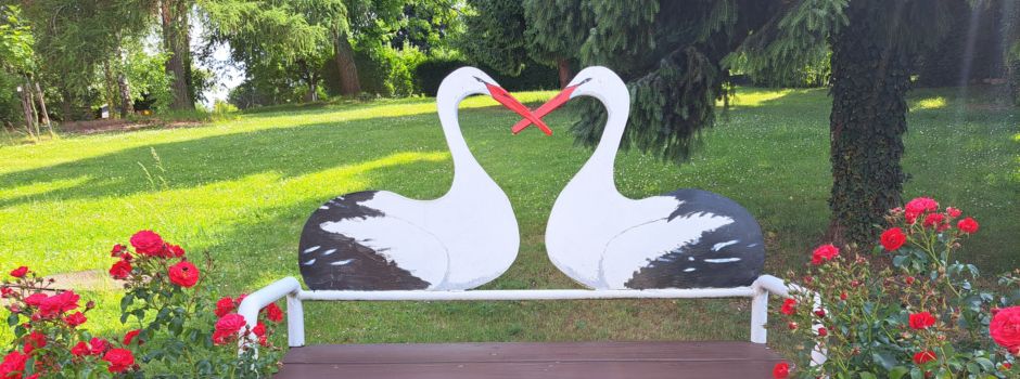 Hannah und Antonio sind nun offizielle und beringte Mügelner