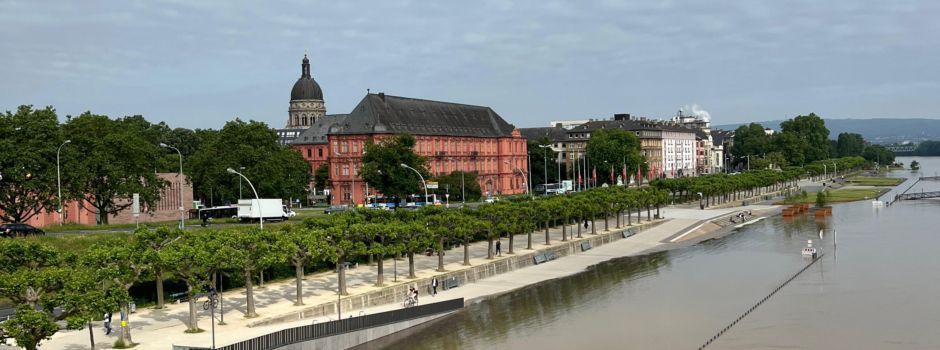 Fällt das Street Food Festival am Mainzer Rheinufer aus?