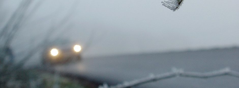 BMW-Fahrer schlittert gegen Stromkasten bei Frankenthal