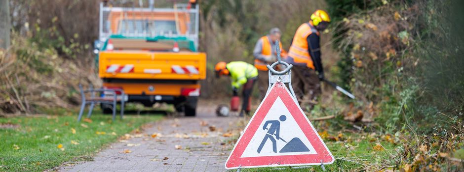 Gehölzschnitt, Baumpflege und Fällarbeiten bis Ende Februar