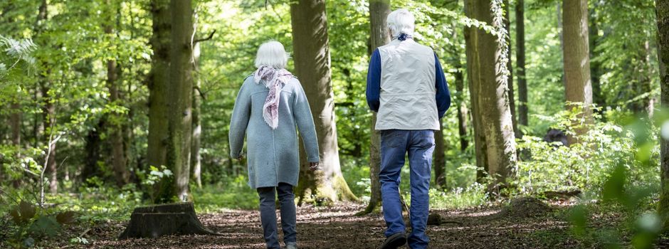Trauerwanderung im Friedwald
