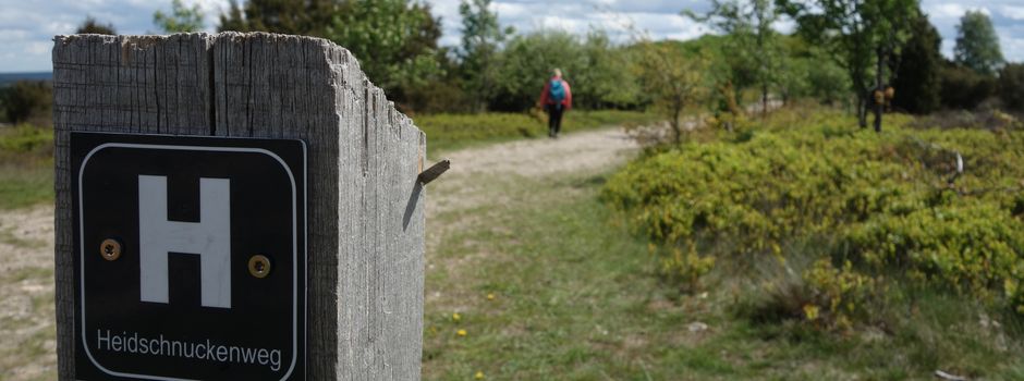 Auf dem Heidschnuckenweg ins neue Jahr wandern