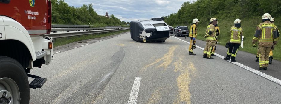 Pferd stirbt bei Unfall auf Autobahn in Richtung Mainz