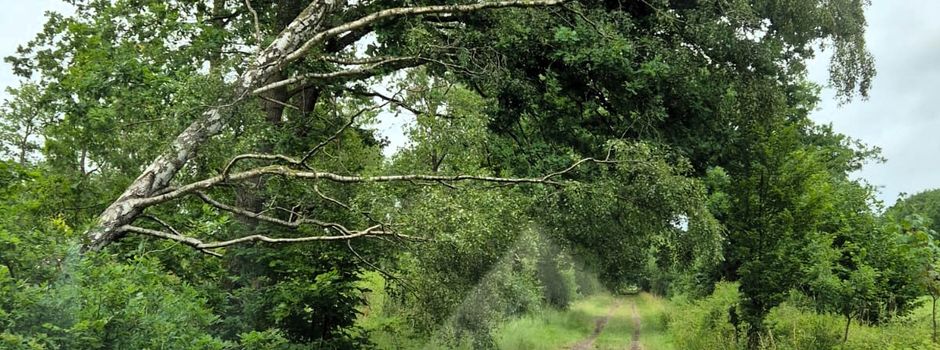 Sperrung Bahndamm zwischen Loher Weg und Garlbek