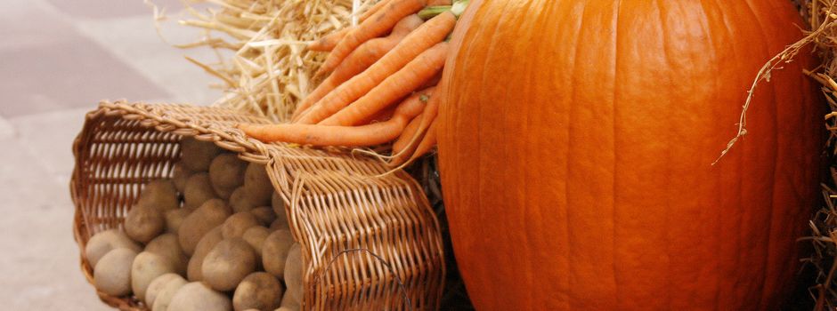 Erntedank in Germerode und Vockerode