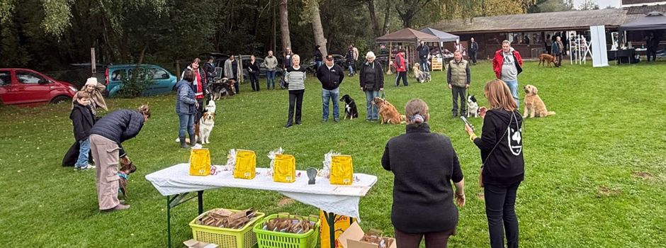 Beim VSG Ravolzhausen flogen die Pfoten!