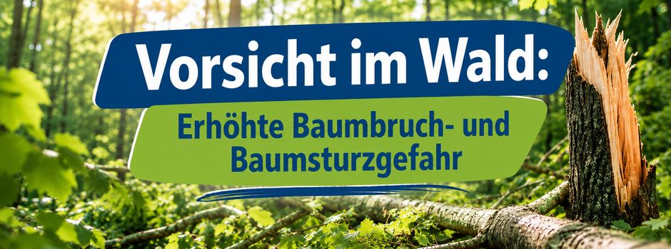 Vorsicht im Wald: Erhöhte Baumbruch- und Baumsturzgefahr